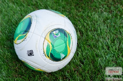 Крытый футбольный манеж в Перми построят к 2015 году