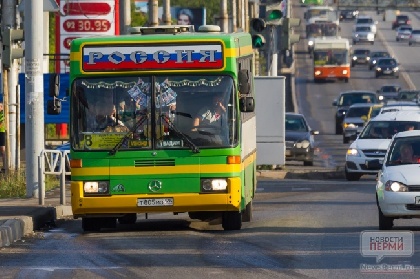 Количество автобусных маршрутов в Перми может сократиться 