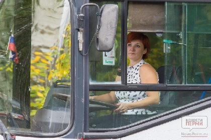 В Березниках к управлению автобусами допускались «немного пьяные» водители