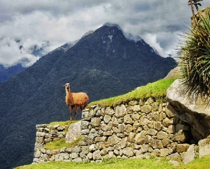 Мачу Пикчу и другие загадки Перу