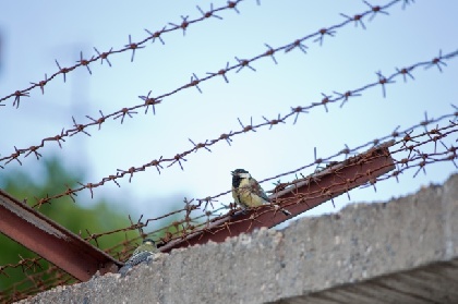 В Прикамье заключенный объявил голодовку