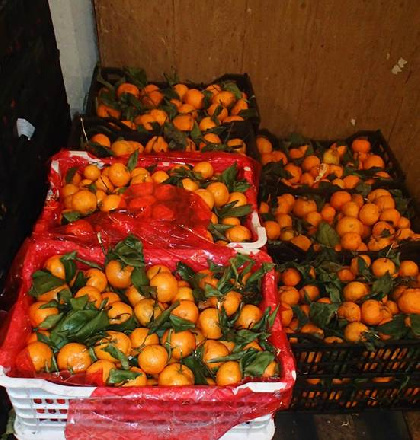 Пермские таможенники выявили 2,3 тонны неизвестных овощей и фруктов