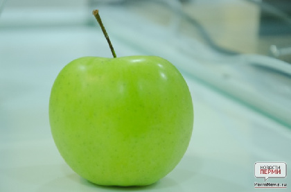 В Перми уничтожили 686 кг неизвестных яблок