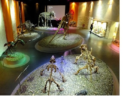 В пермском музее прочтут лекции о динозаврах и Исландии