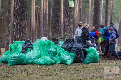 В Прикамье собрано  35 000 кубометров мусора 