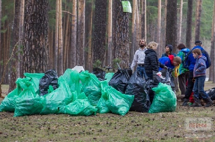 В Прикамье собрано 35 000 кубометров мусора В Прикамье собрано 35 000 кубометров мусора