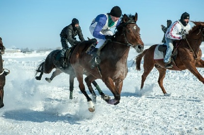 В Пермском крае жители посоревнуются в конных скачках