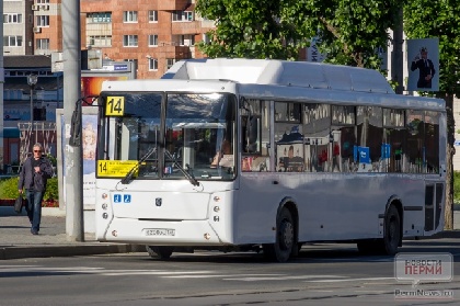 С 15 июля изменятся маршруты автобусов, следующих по Островского