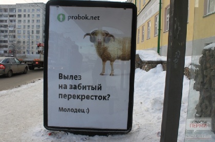 В Перми стартовала рекламная акция против автолюбителей-«баранов»