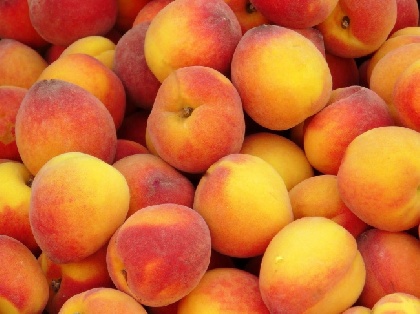 В Прикамье уничтожили партию зараженных персиков 