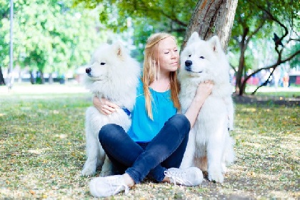 Зоозащитники проведут благотворительную фотосессию с породистыми собаками