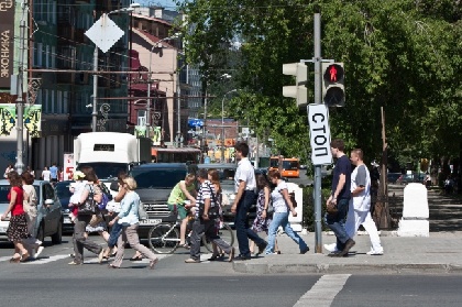 В Перми стали реже сбивать пешеходов