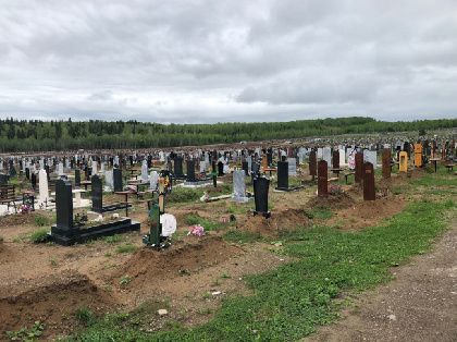 Кладбища от клещей в Перми обработают до 9 мая