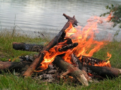 С начала года в Прикамье не произошло пока ни одного лесного пожара