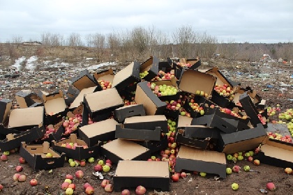 Уничтожено более двух тонн польских яблок