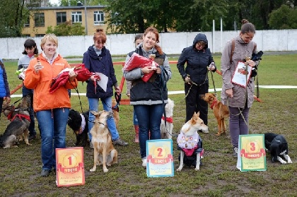 В Перми прошла выставка четырех пород собак