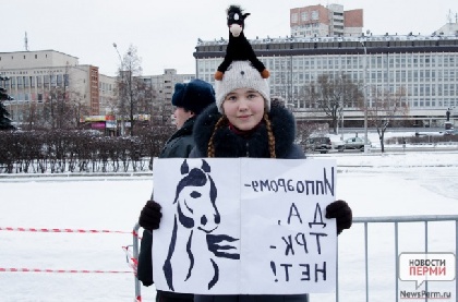 В бастующей пермской конюше объявлен карантин В бастующей пермской конюше объявлен карантин