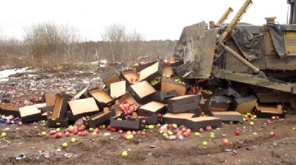 В Перми уничтожили более 900 кг польских яблок