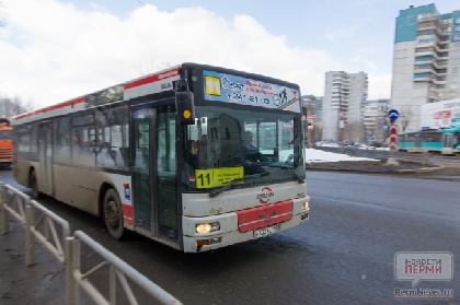 Коммунисты  собирают подписи за возвращение автобуса №11