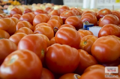 В Пермском крае может погибнуть четверть урожая овощей