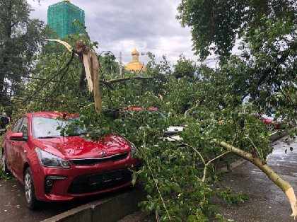 В Перми сильный ветер вырывал деревья с корнями и сломал арт-объект