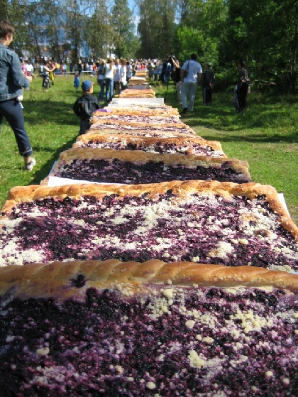В Красновишерске устроят праздник черничного пирога