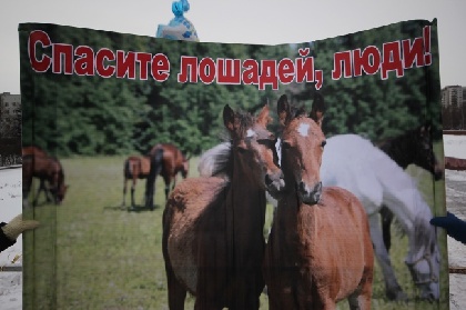 Ипподром в Перми закроют 3 апреля Ипподром в Перми закроют 3 апреля