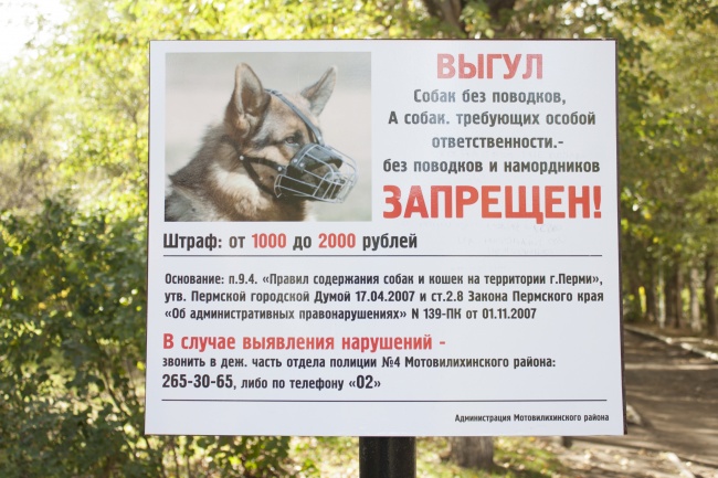 видишь Ответственность за выгул собак без намордника лишь