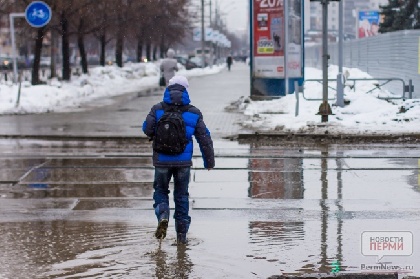 Оттепель и дожди: погода на выходные в Прикамье