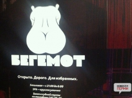 В незаконный клуб «Бегемот» набирают персонал В незаконный клуб «Бегемот» набирают персонал