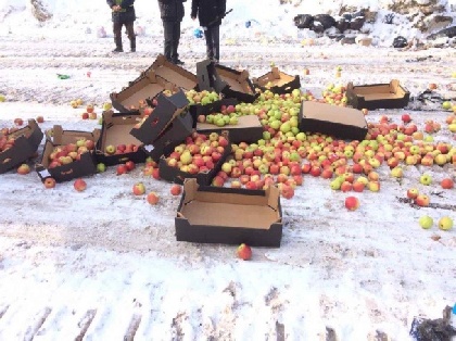 В Перми уничтожили 600 кг контрафактных яблок