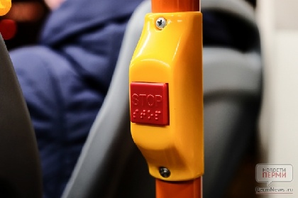 В Перми автобус зажал дверями пассажирку