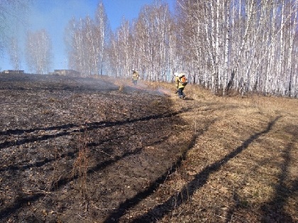 13 мая в Пермском крае горела трава 