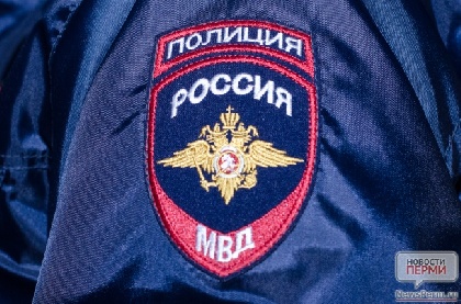 Полицейские задержали третьего предполагаемого убийцу жителя Чайковского