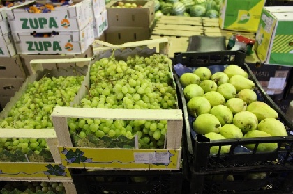 В Перми под бульдозером уничтожили 102 кг турецких фруктов 