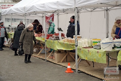 Прикамским пенсионерам установили прожиточный минимум в 8 726 рублей