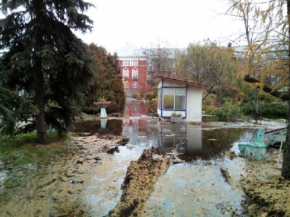 Ботанический сад ПГНИУ серьезно пострадал из-за прорыва водопровода