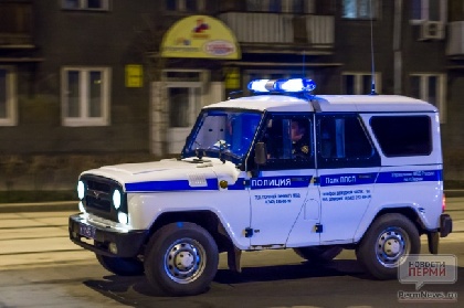Полиция Перми ищет воровку