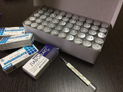 В Прикамье появится справочная служба по наличию лекарств в аптеках