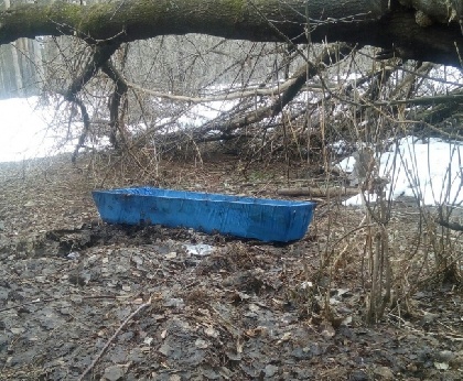 В Балатовском парке нашли голубой гроб 