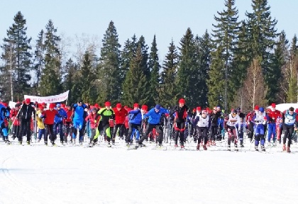 «Лыжня России» в Прикамье собрала 18 тысяч участников