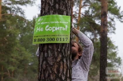 Пермский край занял второе место в ПФО в сфере охраны и защиты лесов Пермский край занял второе место в ПФО в сфере охраны и защиты лесов