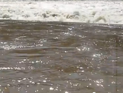 В Прикамье возбуждено уголовное дело из-за загрязнения сточными водами реки Юг