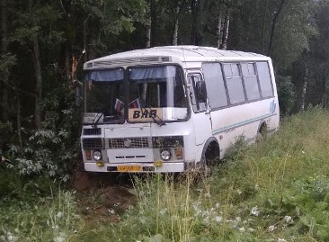 В Красновишерском районе автобус въехал в дерево 