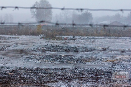 В Прикамье молодой человек подозревается в убийстве своей матери 