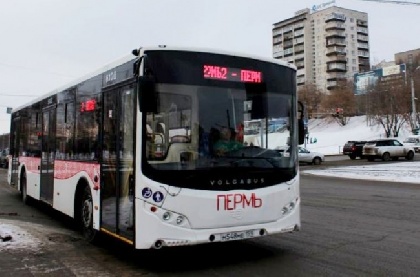 К весне в Перми появится 20 новых низкопольных автобусов