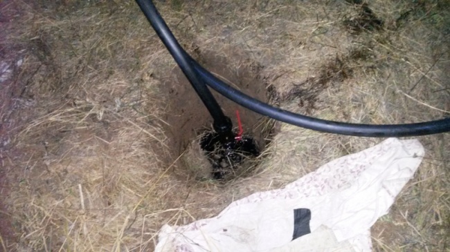 воровали нефть.jpg воровали нефть.jpg